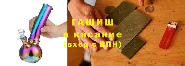 индика Горно-Алтайск