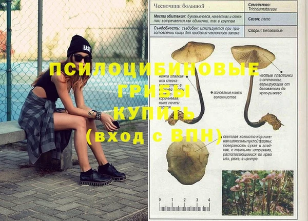ALPHA-PVP Ростов