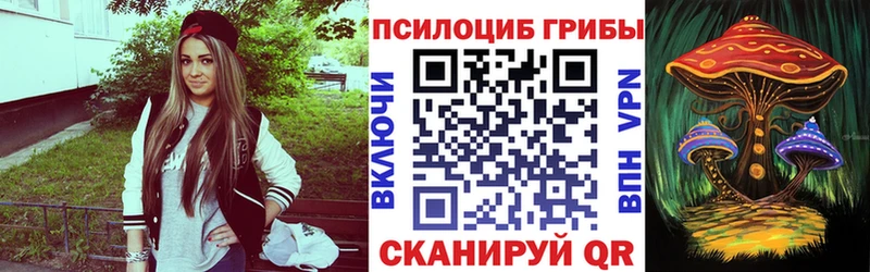 Галлюциногенные грибы Psilocybine cubensis  Аксай 